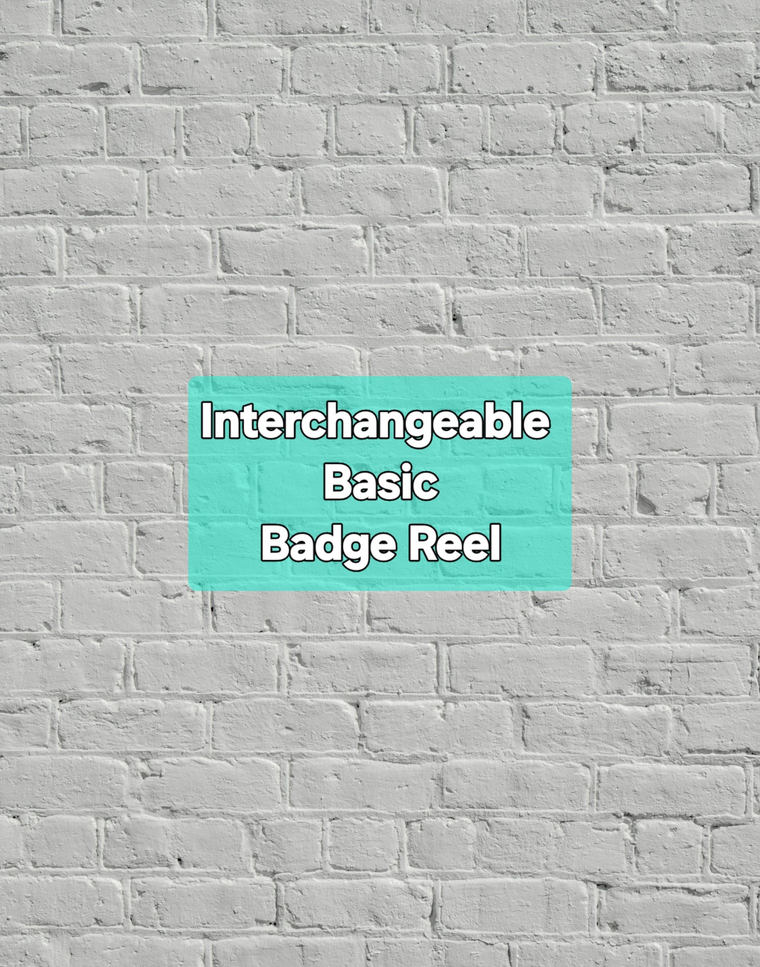 Interchangeable Basic Badge Reels